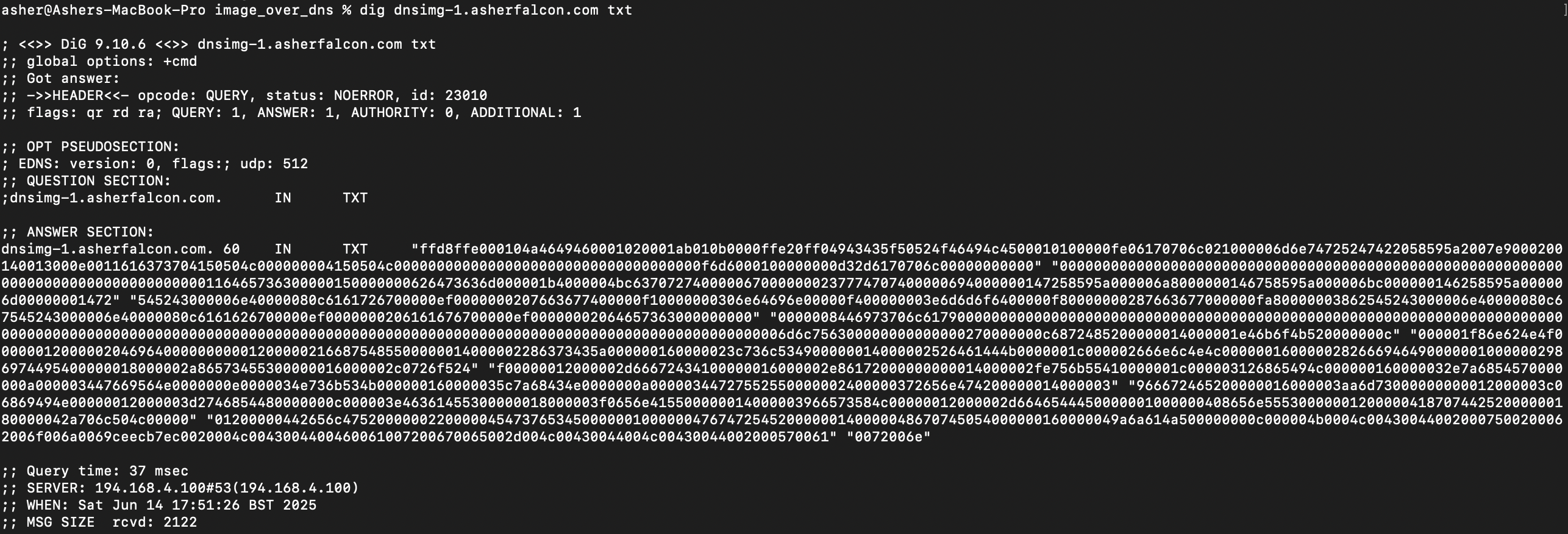 DNS records detail